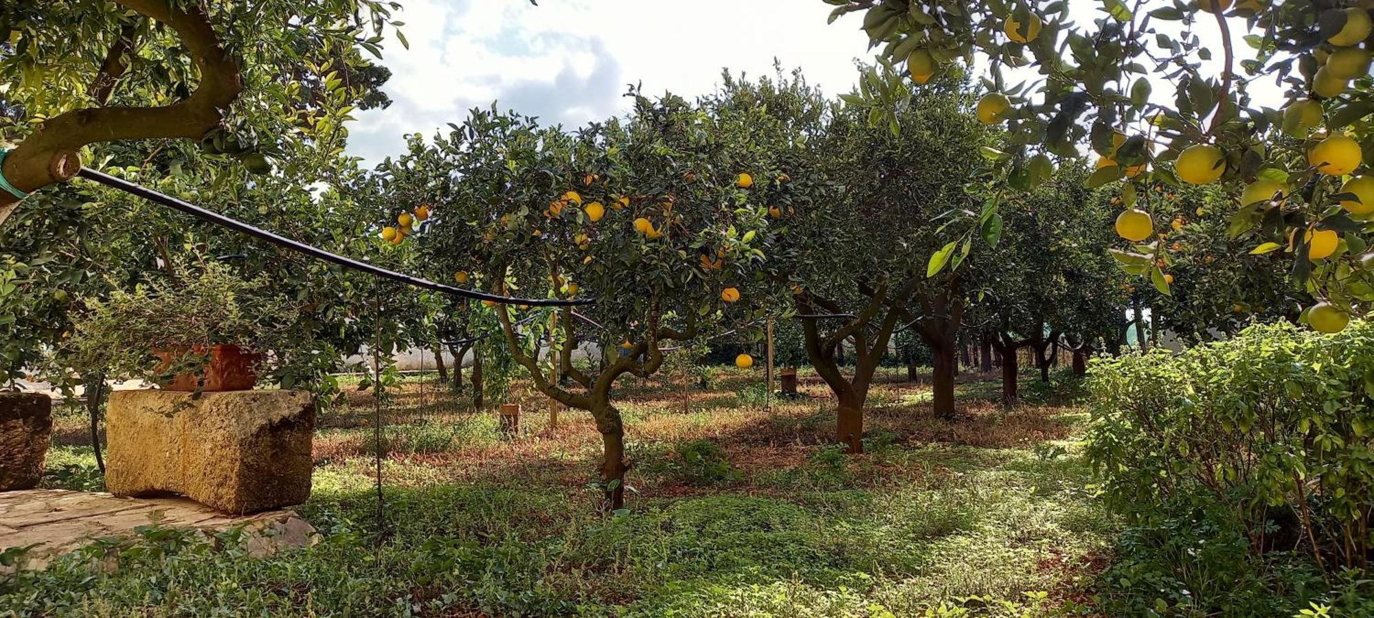 Baglio Spano - Antiche Dimore Di Sicilia เปโตรสิโน ภายนอก รูปภาพ